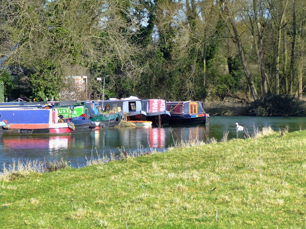 Narrowboats on the River Nene, Sutton, Cambridgeshire
