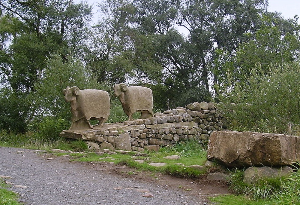Stone sheep, High Force, Forest-in-Teesdale