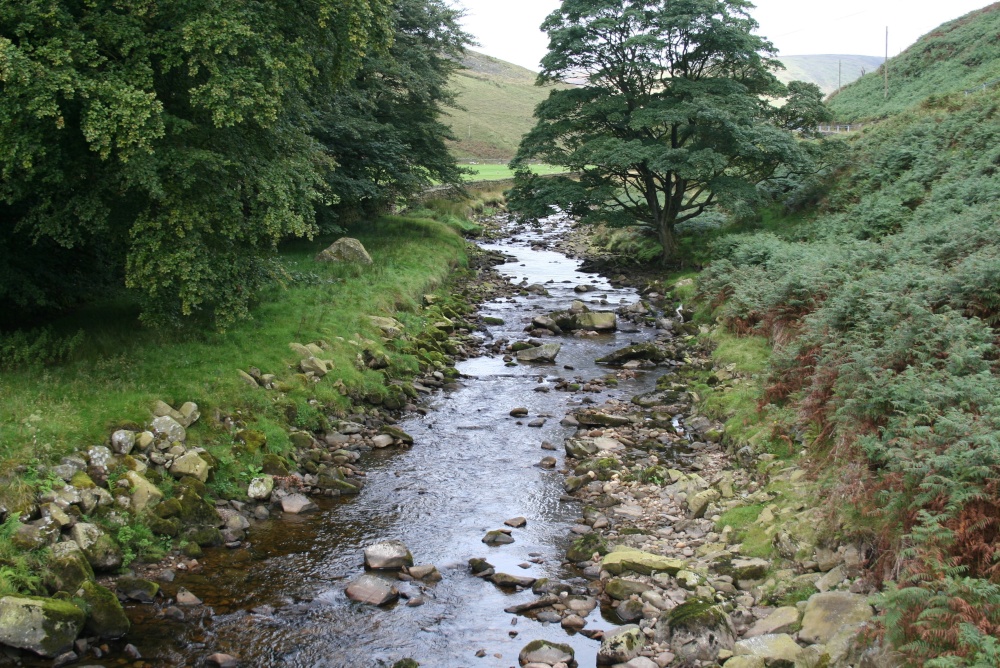Langden Brook in the Forest of Bowland.