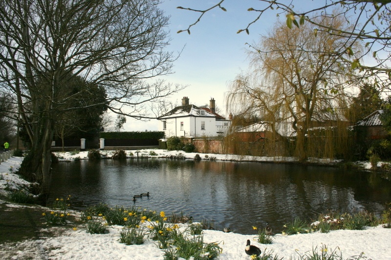 Winter scene of village pond, Somerleyton, Suffolk