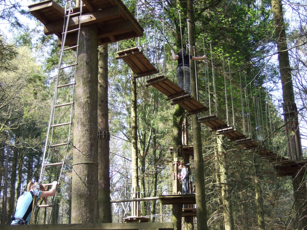 For the Adventurous, Grizedale Forest, Hawkshead, Cumbria