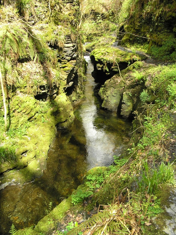 Tranquil waters above the Devil's Cauldron, Lydford Gorge