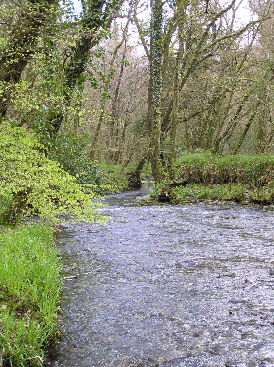 River at Lydford Gorge, Devon