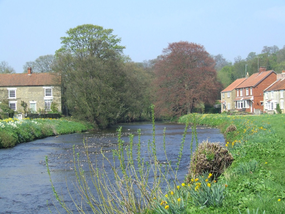 Houses by the river