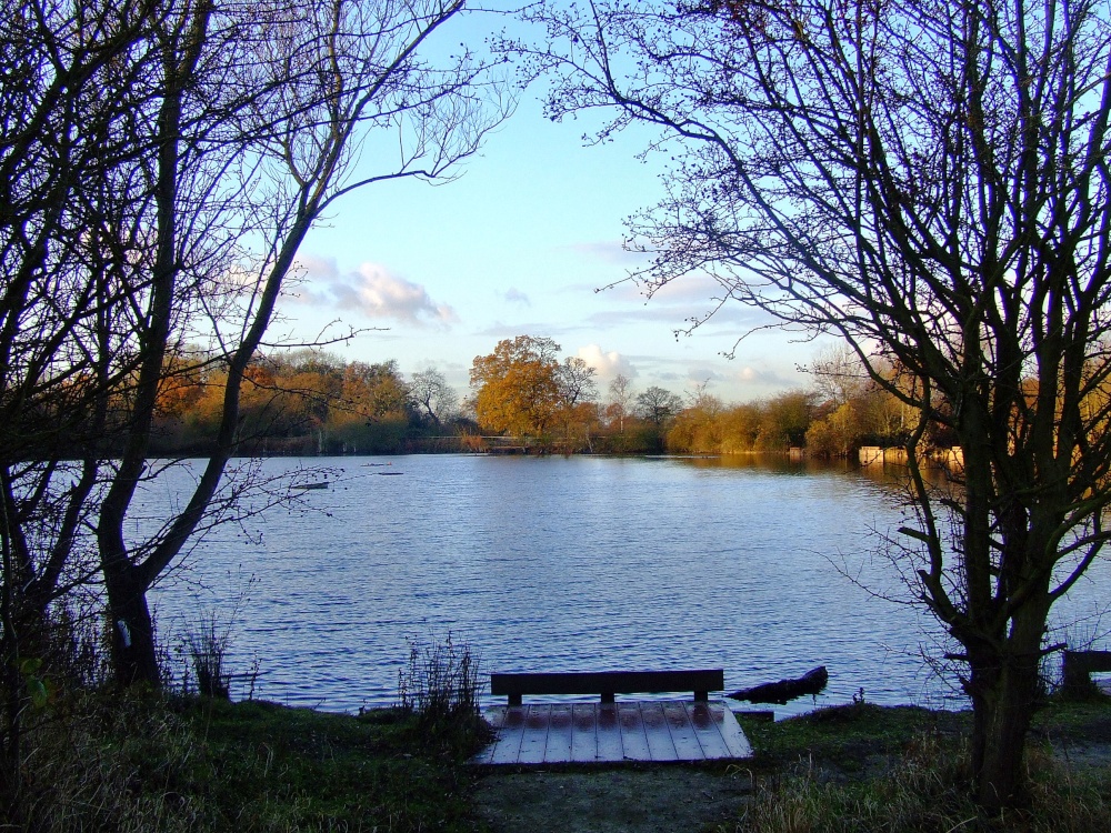 Eastrington pond