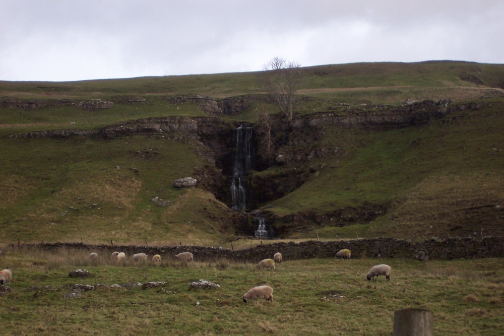 Waterfall in Sheep Pasture, Wensleydale
