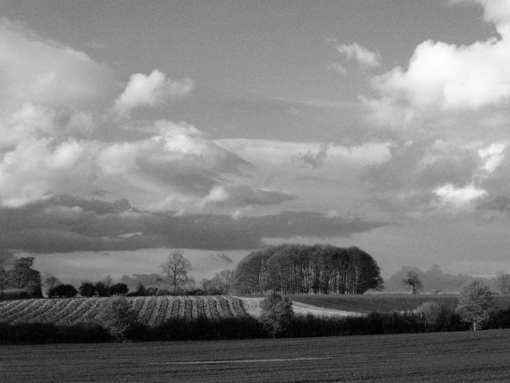 B+W pic of farmland near Middle Claydon, Bucks.