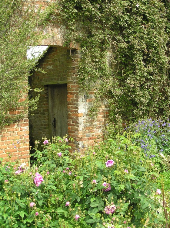 Old walls support climbing plants at Sissinghurst castle garden, Kent