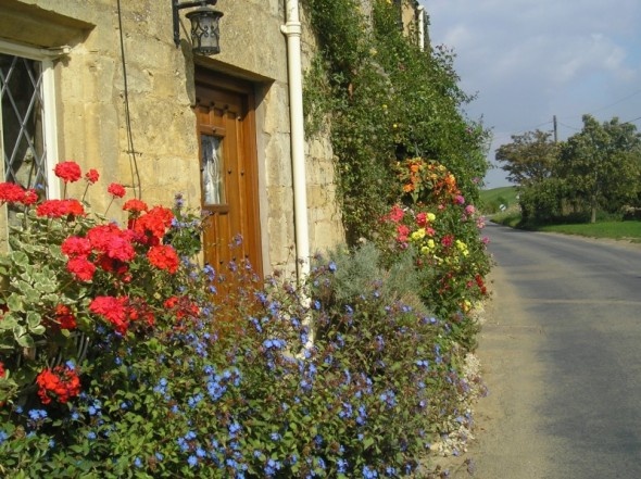 Cottage door, flowers