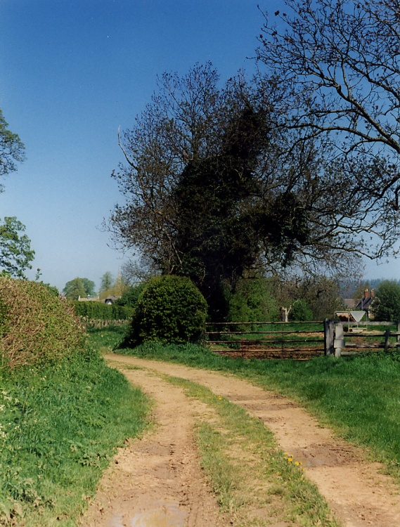 Pathway near Upper Hambleton, Rutland, near Rutland Water