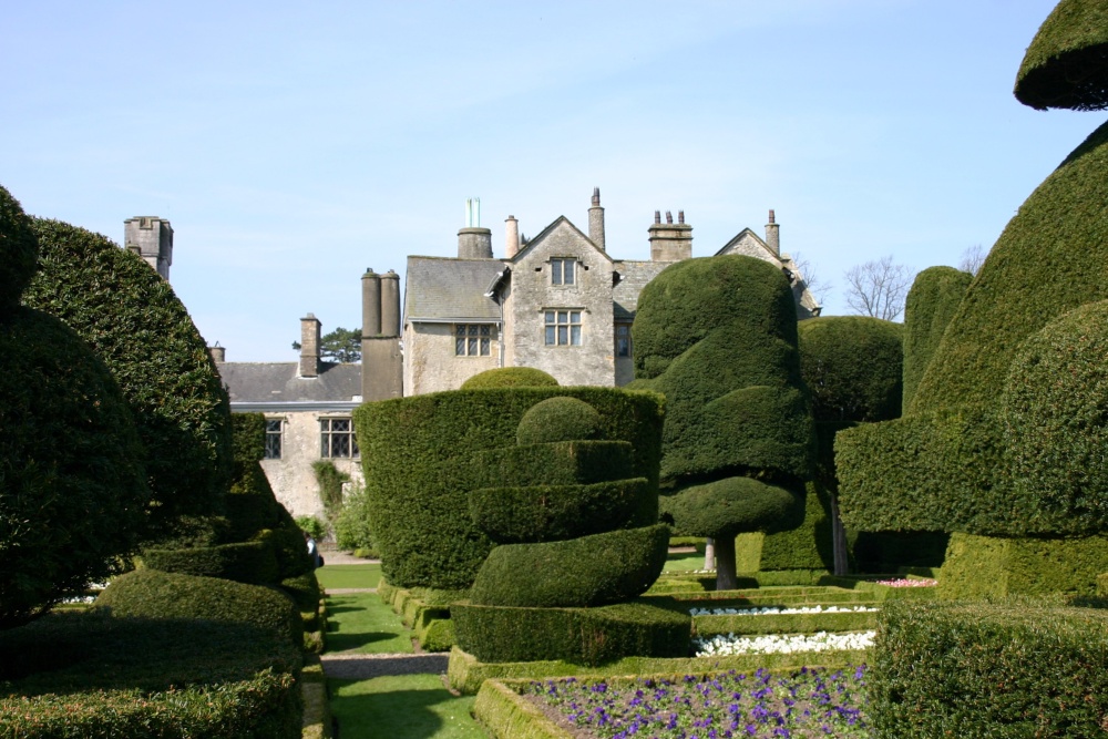 Levens Hall topiary
