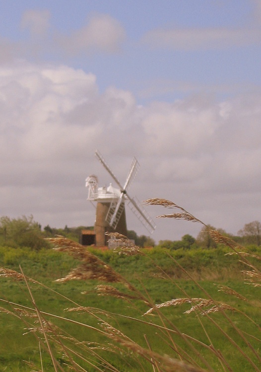 Wind Mill on The Marshes