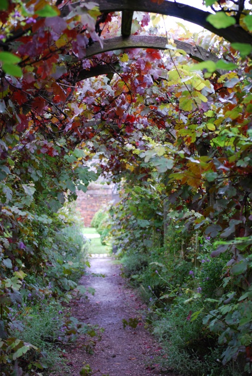 Path to the house at Moseley Old Hall