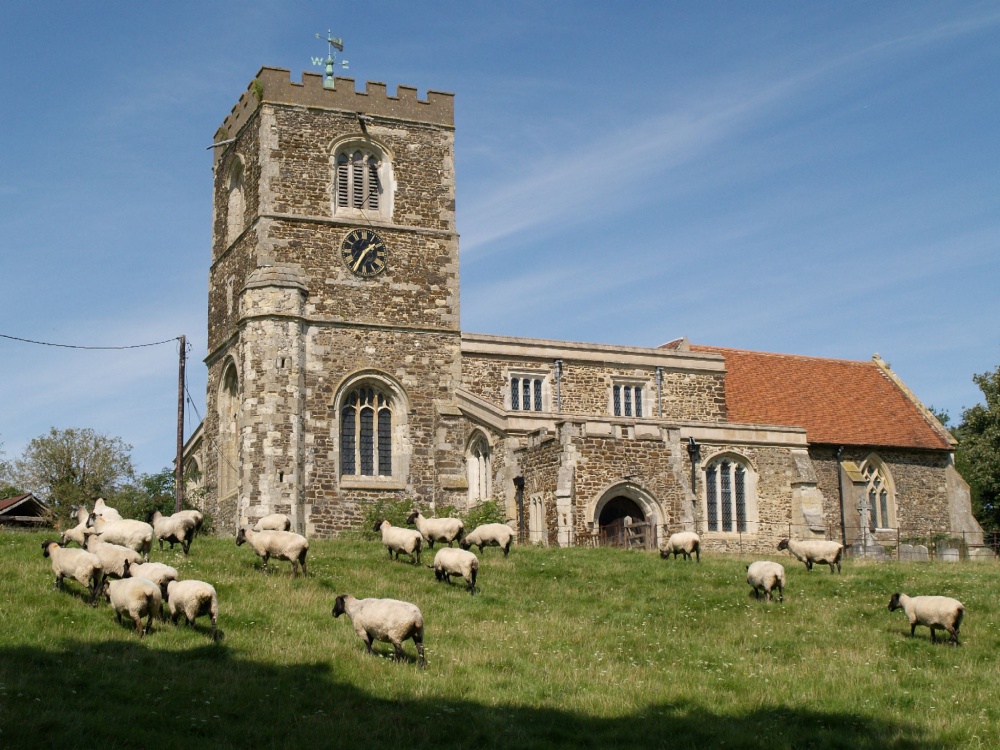 Parish Church - with flock, Soulbury, Bucks