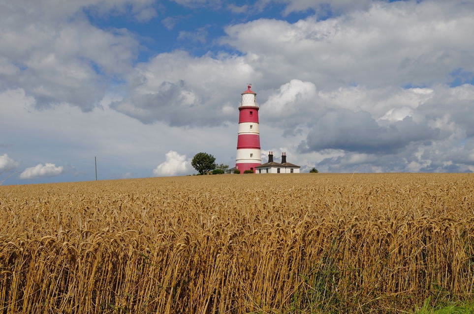Happisburgh Lighthouse and corn field
