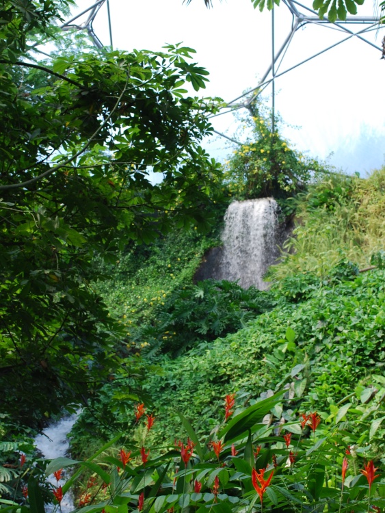 Large waterfall in Rainforest area at Eden