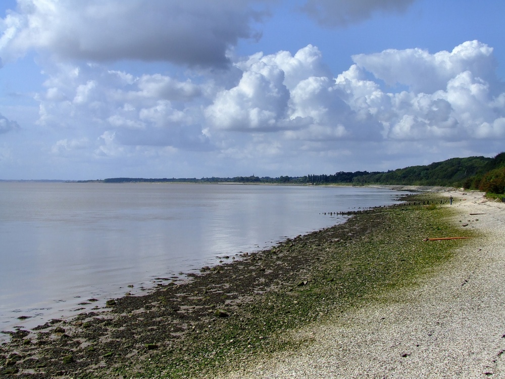 The foreshore with North Ferriby in the distance.