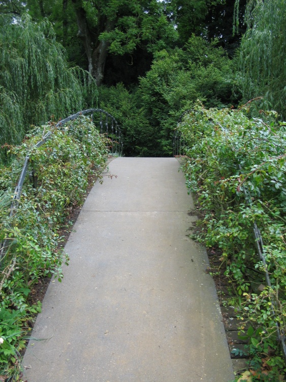 Bridge over River Test, Mottisfont Abbey Garden