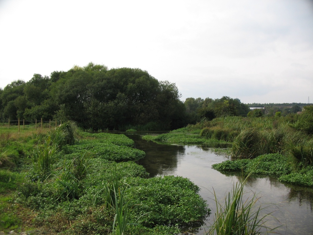 River Test, Stockbridge
