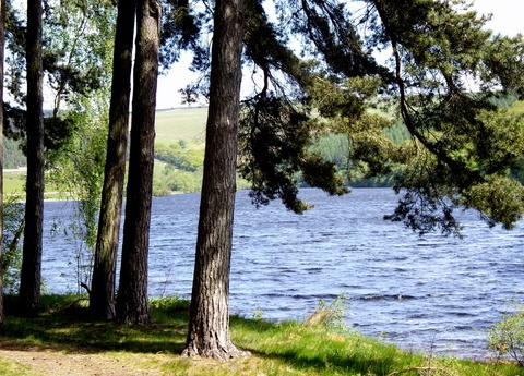 Tunstall Reservoir at Wolsingham