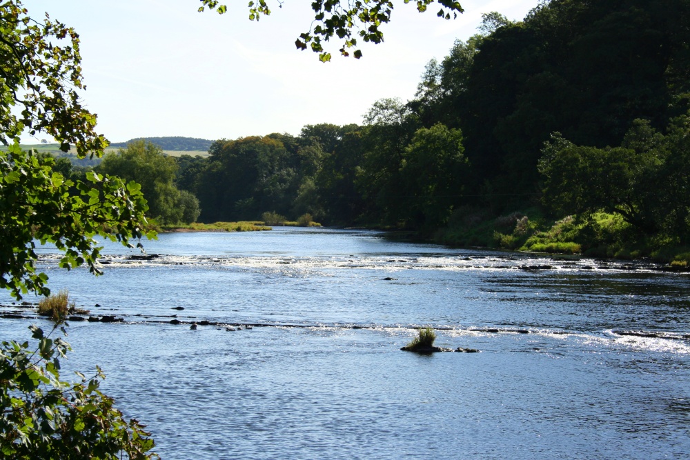 River Ribble