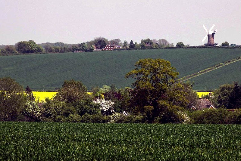 Wilton, Wiltshire.