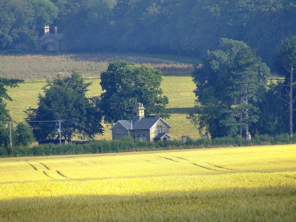 Countryside at South Dalton
