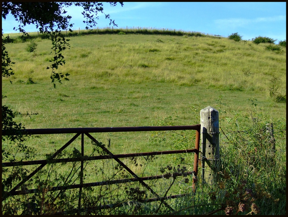 A gate and a hillock