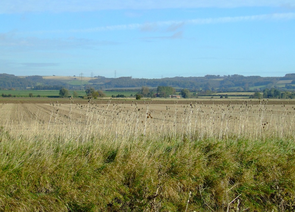 The view towards South Cave from Sands Lane