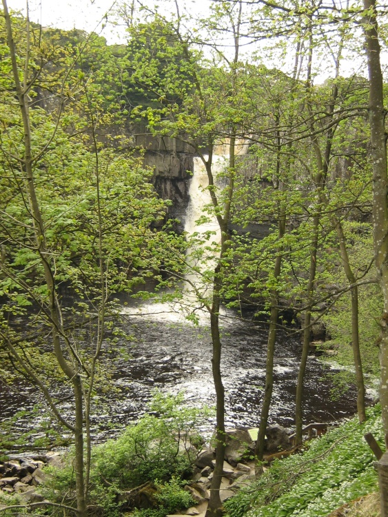 High Force - approaching the falls