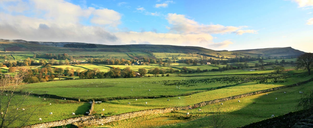 Early Morning in Wensleydale