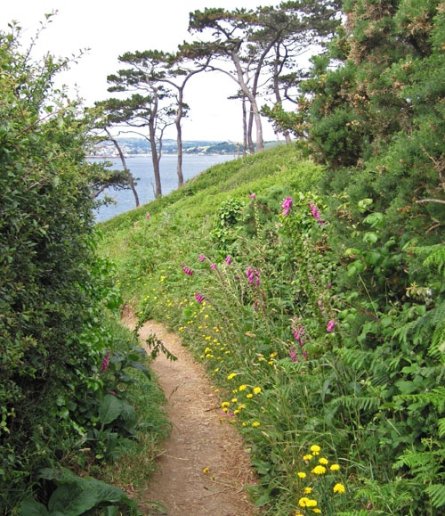 Footpath on St.Anthony's Head, near St.Mawes