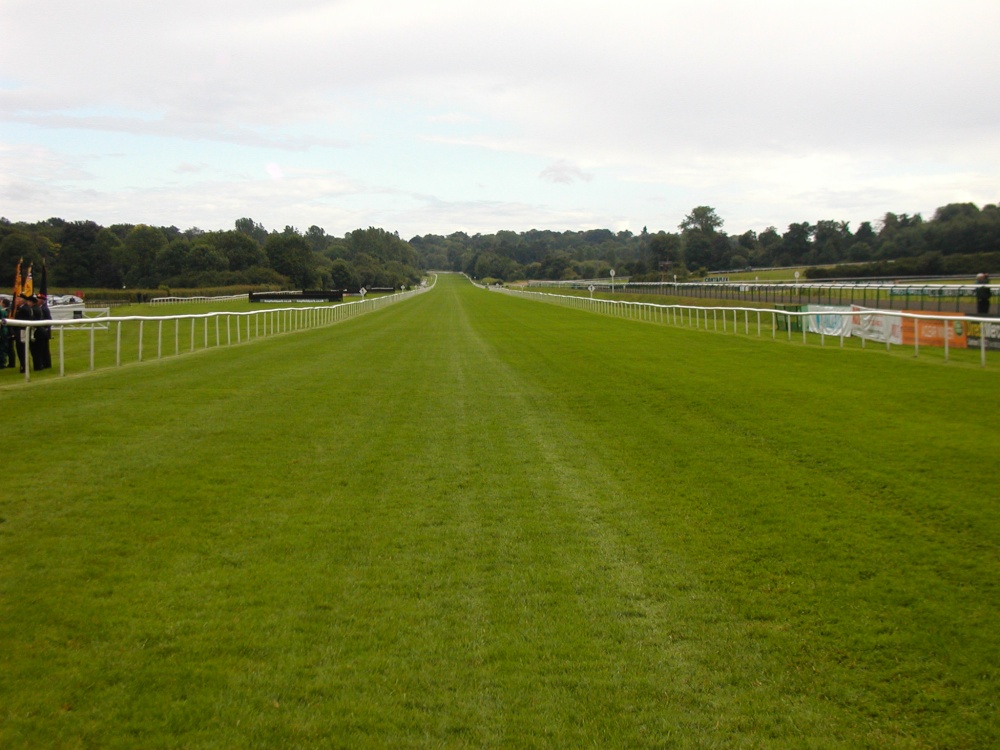 Lingfield Race Course