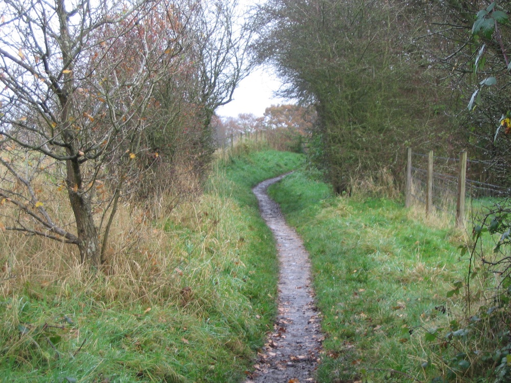Around Silchester - muddy path