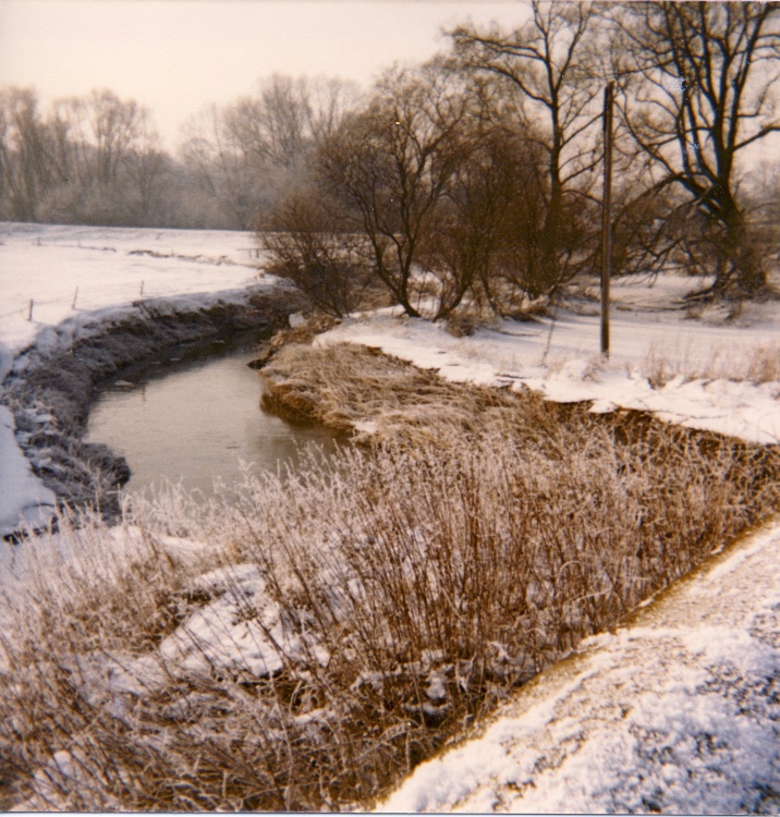 Local stream near Wolviston
