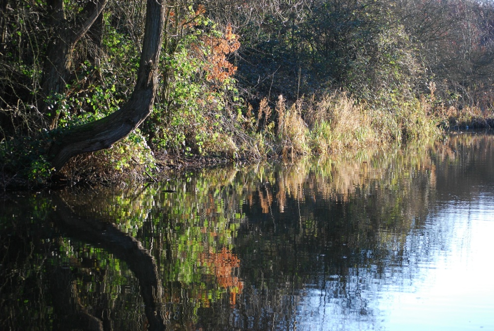 The canal at Netherton