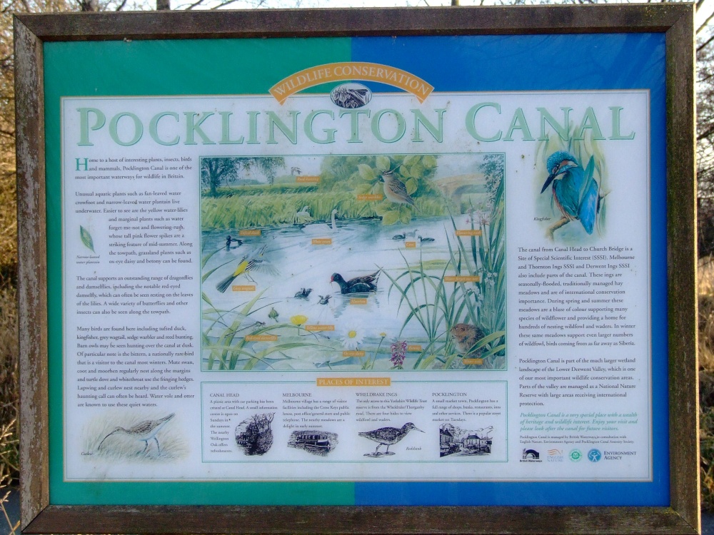 Pocklington Canal information board (1)