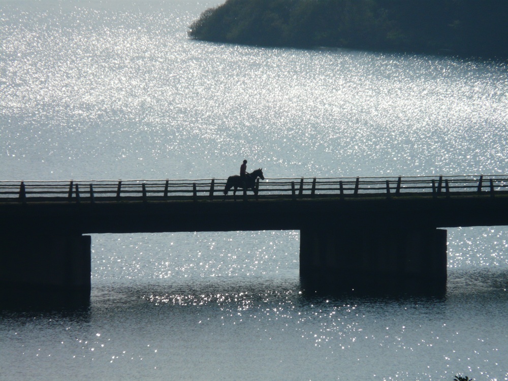 Rider on the bridge