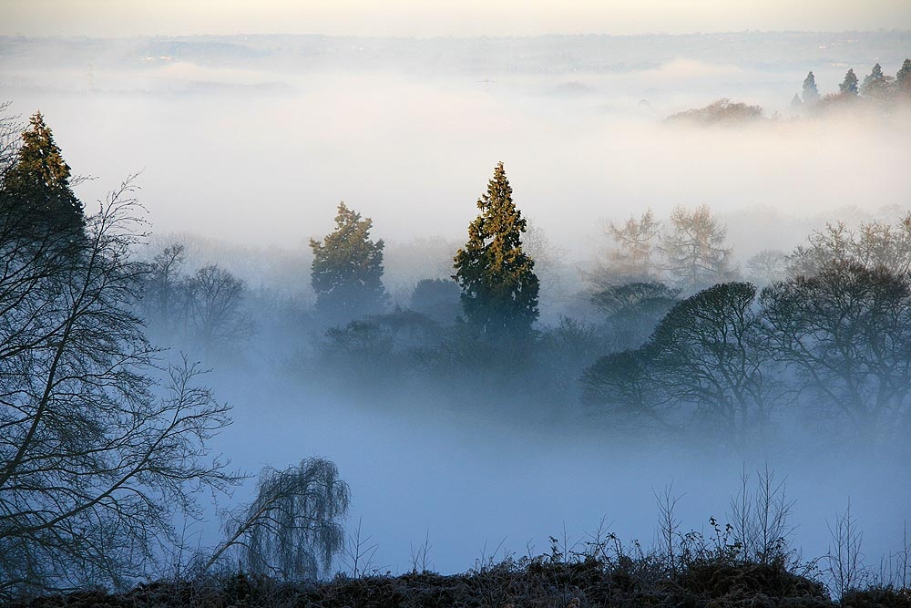 Mist in Fields near Great Haywood