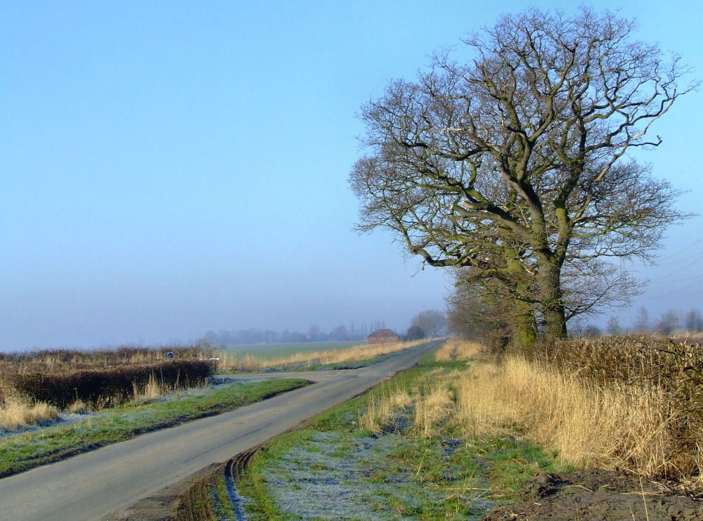 The road to Broomfleet from South Cave
