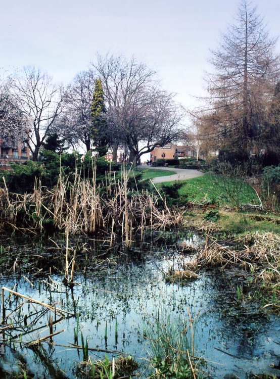 Castle Gardens Leicester pond