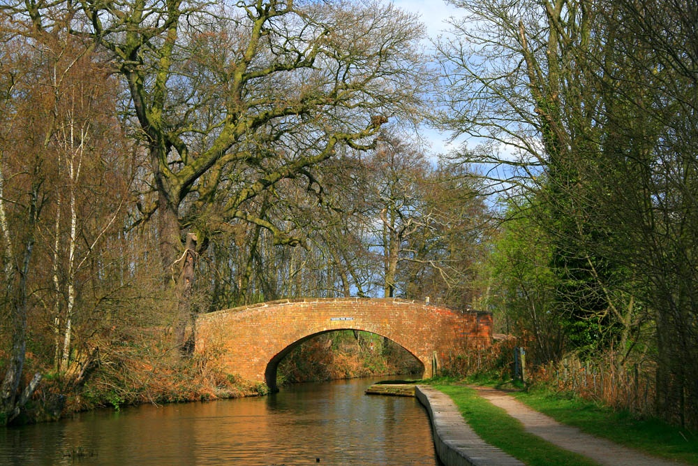 Trent and Mersey Canal through Hopwas Woods