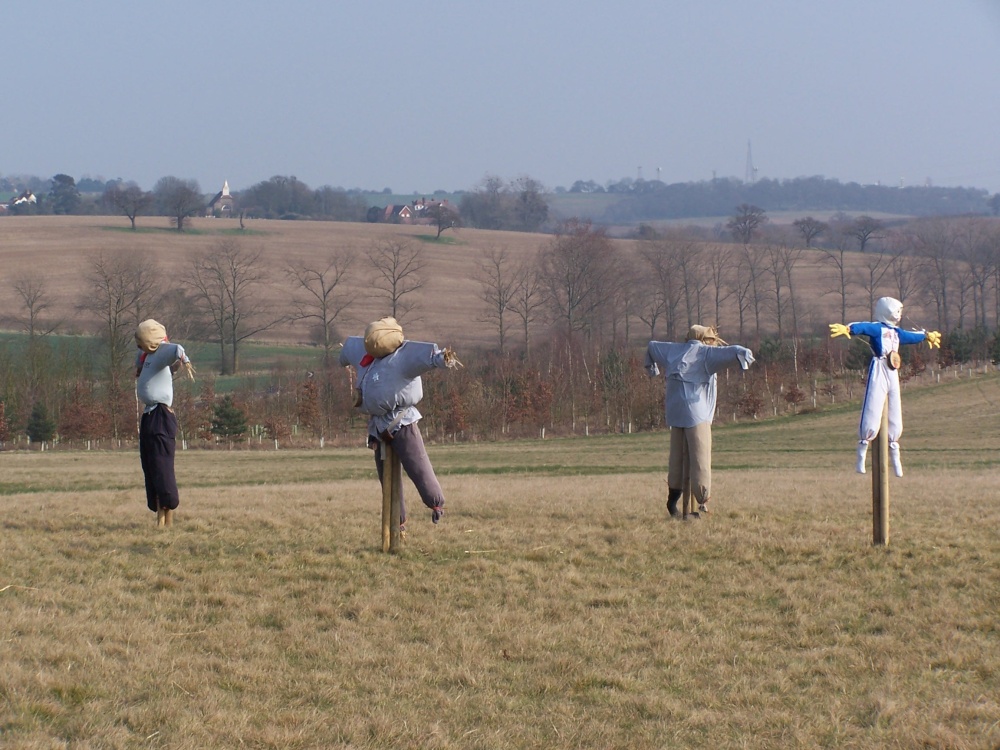 Scarecrows on the Hilltop