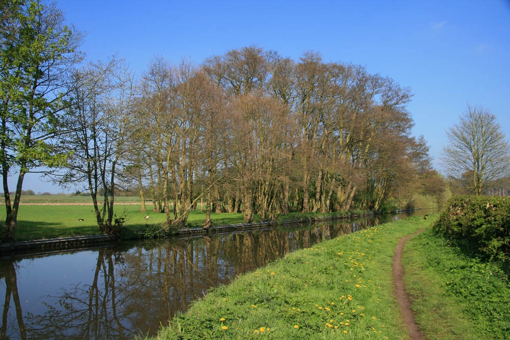 Canal Near Milford 3