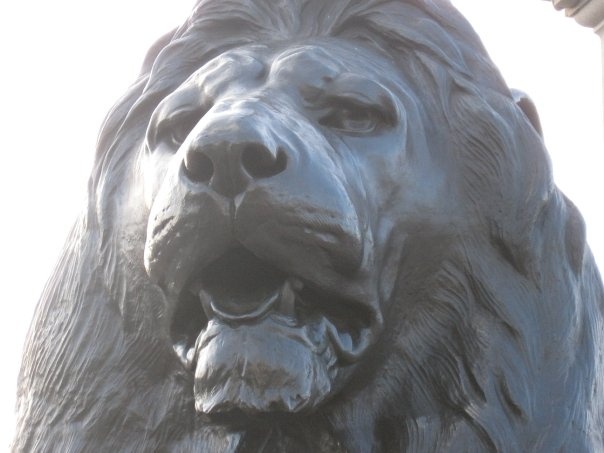 Lion of Trafalgar