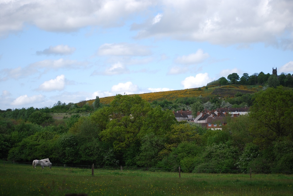 View of Netherton from the Nature Reserve