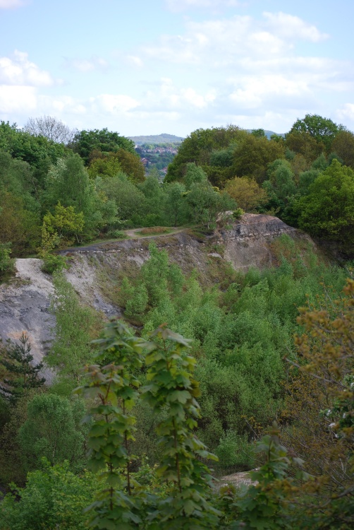 Doulton's Clay Pit SSSE