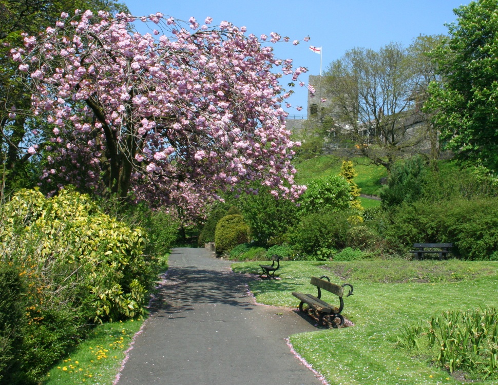 Clitheroe Grounds
