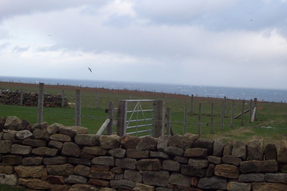Pasture overlooking the North Sea