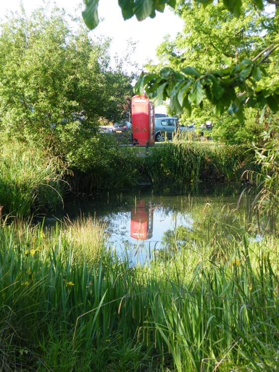 The Pond Ickenham